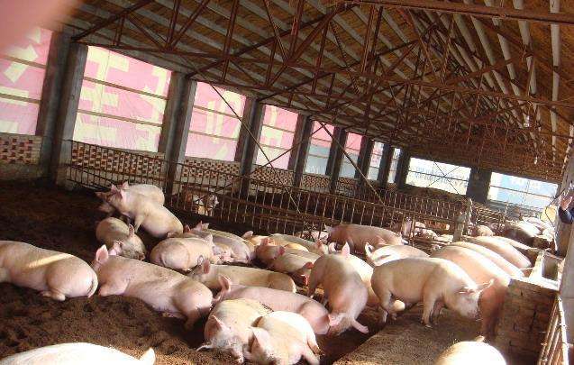 20170915151254505450