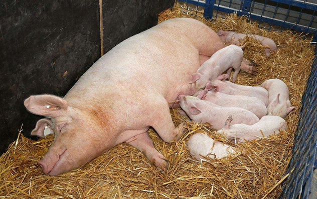 20171016093744764476