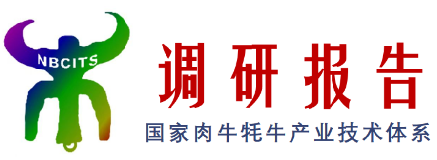 20230302110921352135